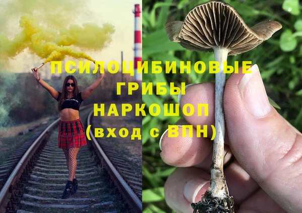 не бодяженный Дмитров