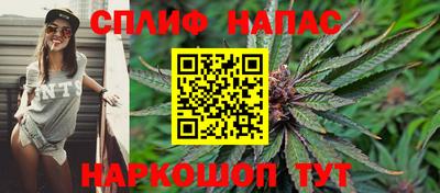 гидра Гусь-Хрустальный