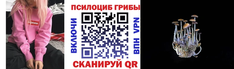 MEGA онион  Красный Сулин  Галлюциногенные грибы прущие грибы 